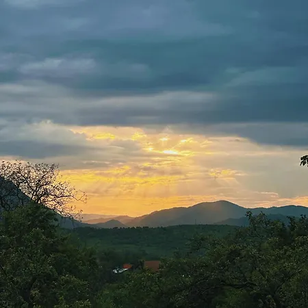 Zenit Sohodol-bran בקתה Sohodol (Brasov)